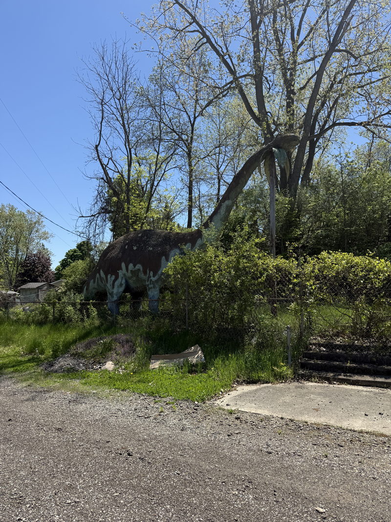 Prehistoric Forest - May 11 2025